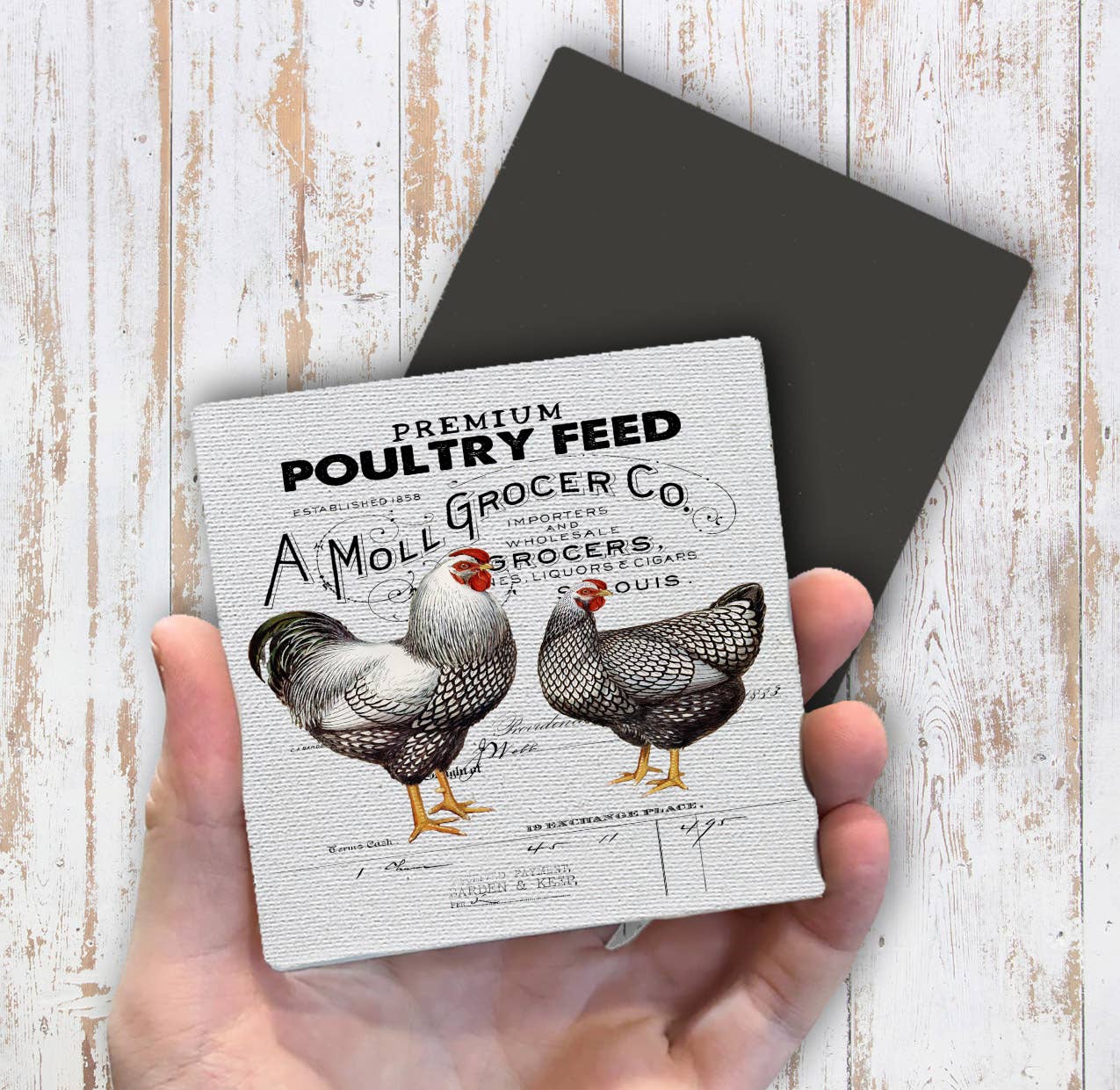 Farmer Market Poultry Feed Chicken  Magnet Fridge - Sets of 2