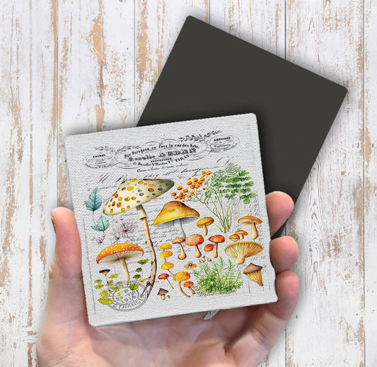 Vintage Mushrooms Botanicals Magnet Fridge - Sets of 2