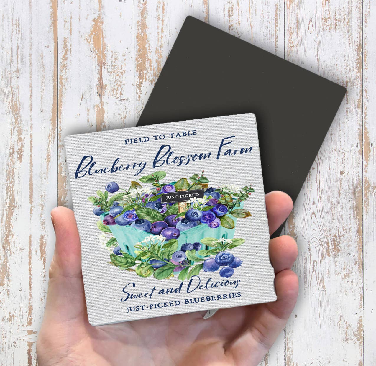 Blueberry Country Farm Fruit Magnet Fridge - Sets of 2