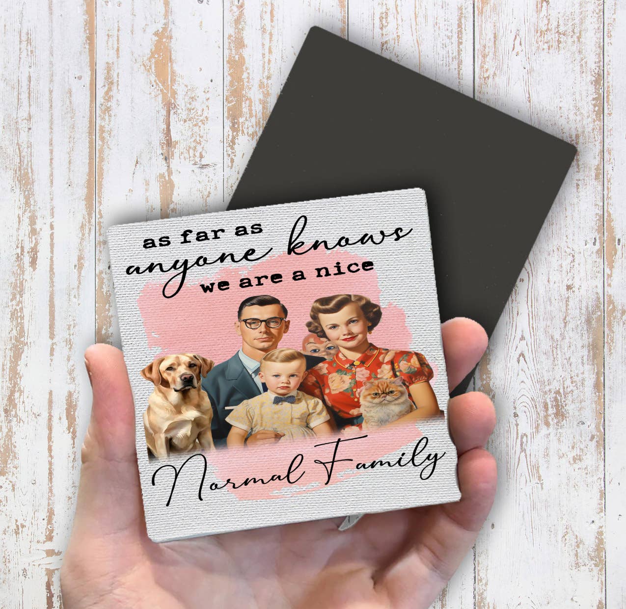 We are a nice normal Family Funny Magnet Fridge - Sets of 2