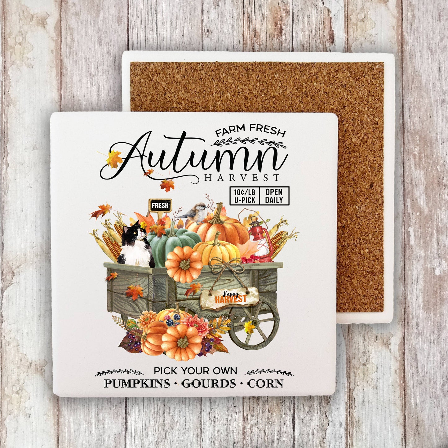 Farm Fresh Fall Autumn Harvest Stone Coaster