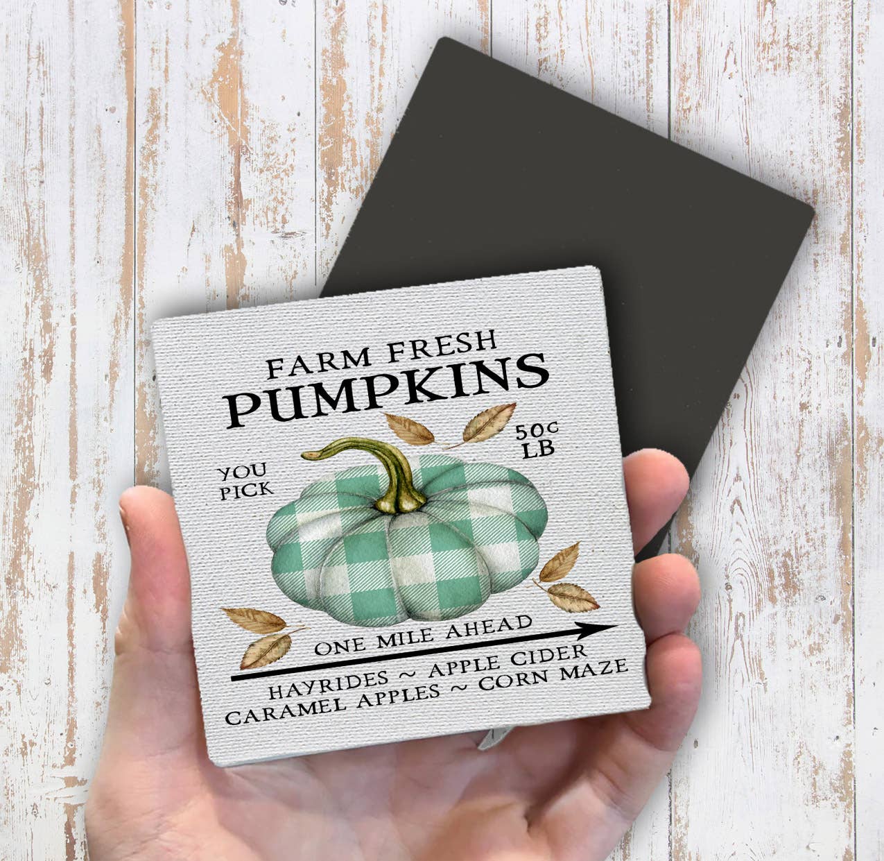 Farm Fresh Pumpkin Plaid, Magnet Fridge - Sets of 2