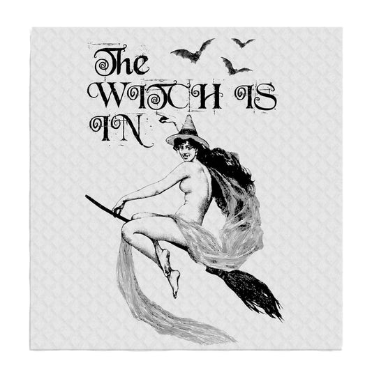Set of 2 -  The Witch is In Halloween SWEDISH DISH CLOTHS