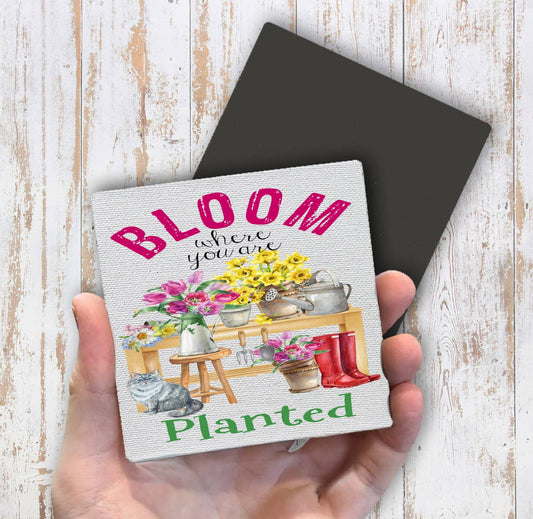 Bloom where you're planted Flowers Cats Magnet Fridge - Sets of 2