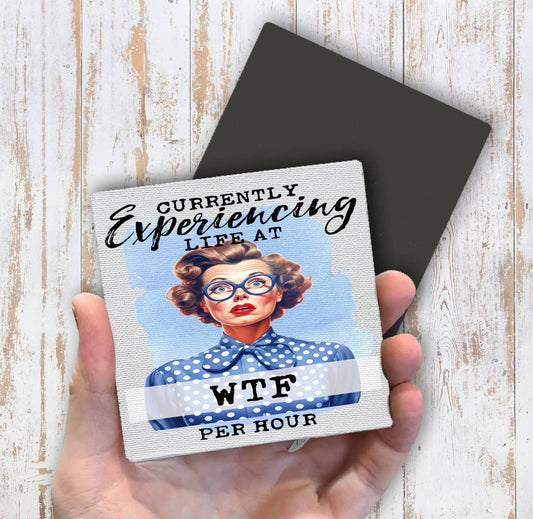 Experiencing Life at WTF Funny Magnet Fridge - Sets of 2