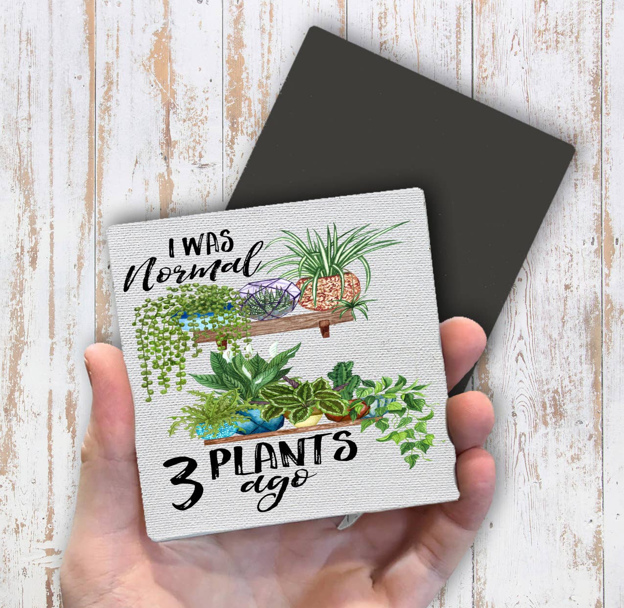 I Was Normal 3 Plants Ago House Plants Magnet Fridge - Sets of 2