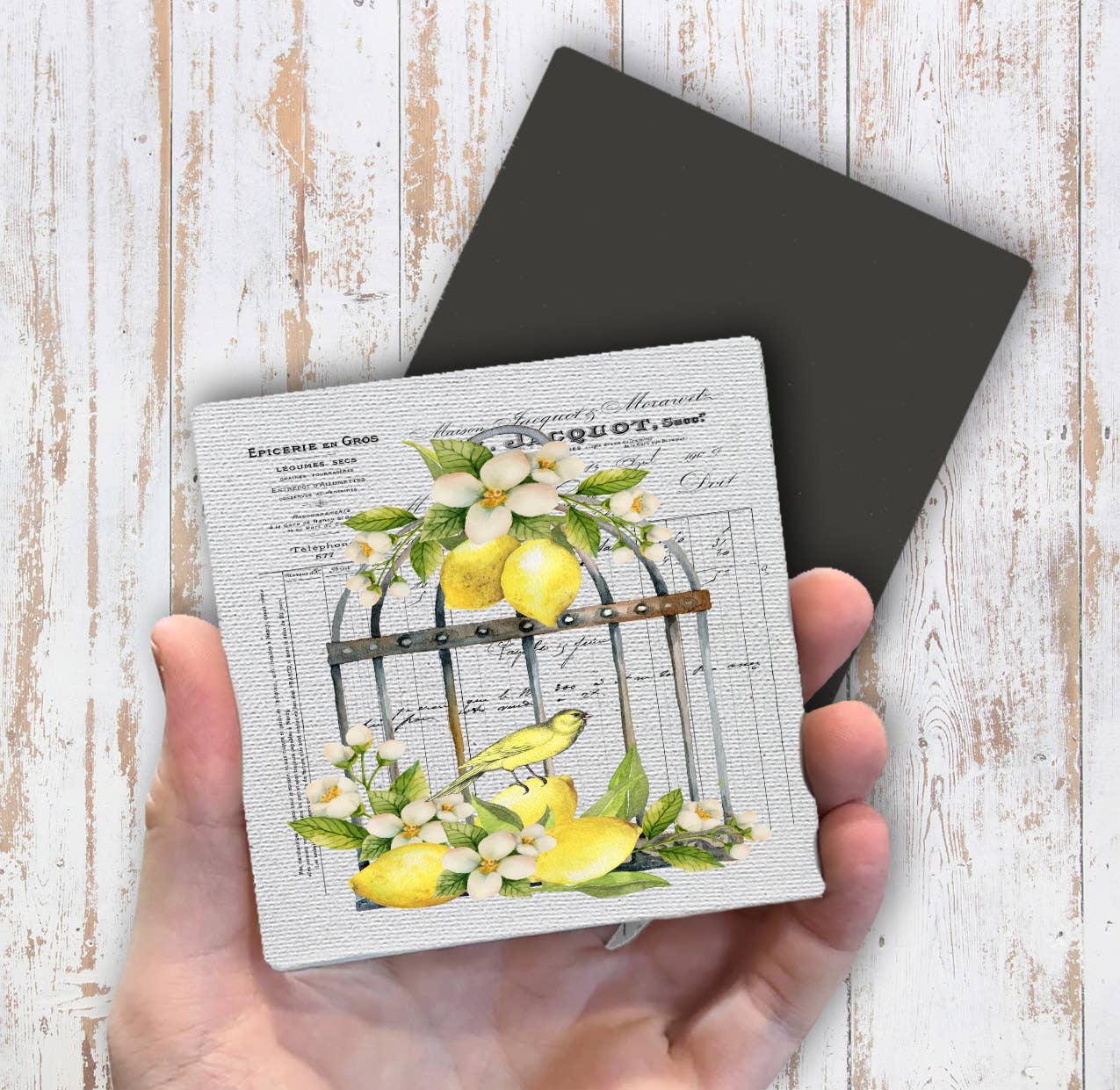 French Lemons Bird Cage Magnet Fridge - Sets of 2