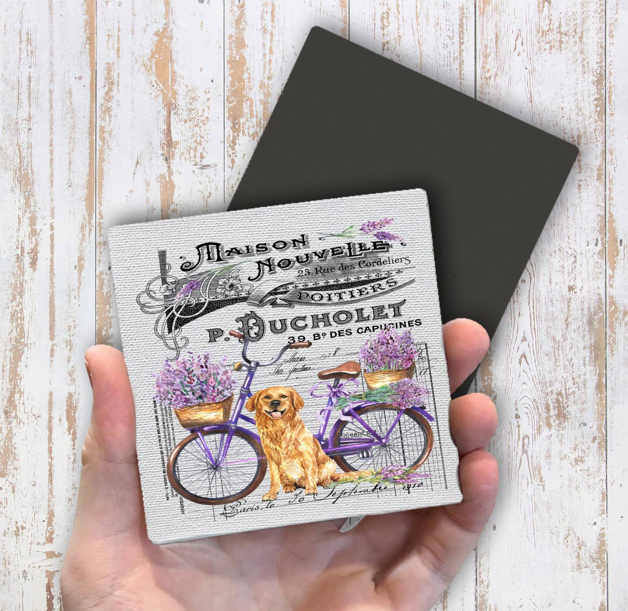 French Lavender Golden Retriever Dog Magnet Fridge - Sets of 2