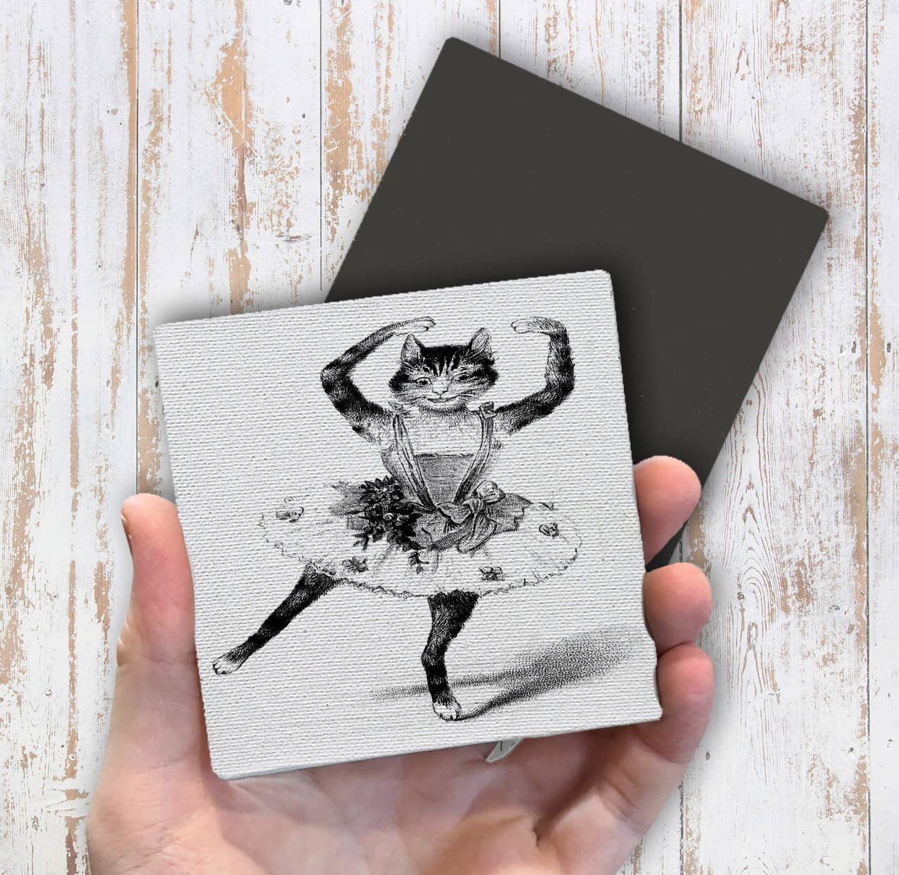 Cat Ballerina, Magnet Fridge - Sets of 2