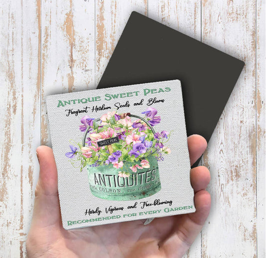 Antique Sweet Peas Flowers Magnet Fridge - Sets of 2