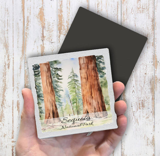 Sequoia National Park California Magnet Fridge - Sets of 2