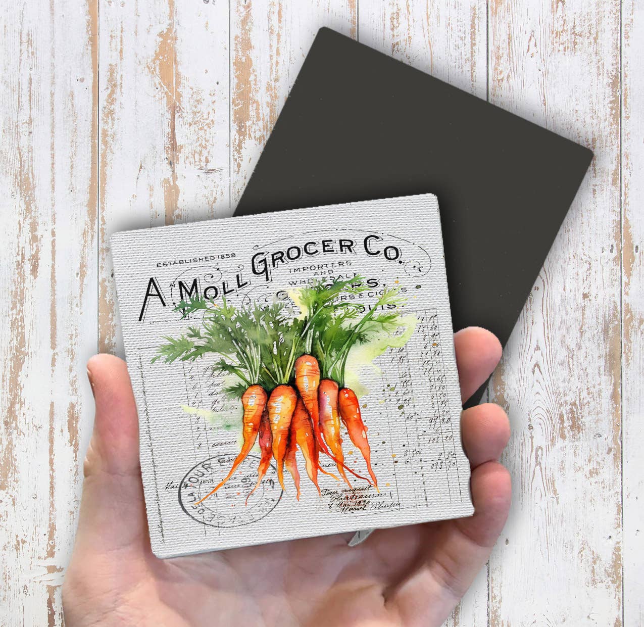 Vintage Farmhouse Carrots Vegetables Magnet Fridge - Sets of 2