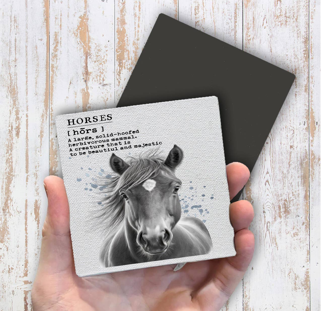 Definition of Horse Magnet Fridge - Sets of 2