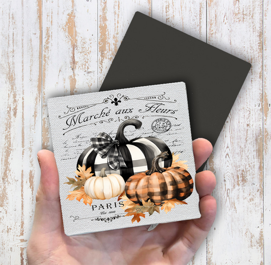 Fall French Black white Checkered Pumpkins Magnet Fridge (Set of 2)