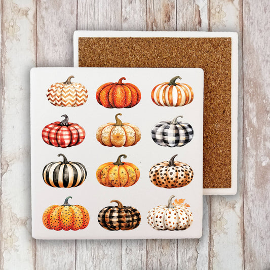 Fall Autumn Variety of PumpkinsStone Coaster-Sets of 2