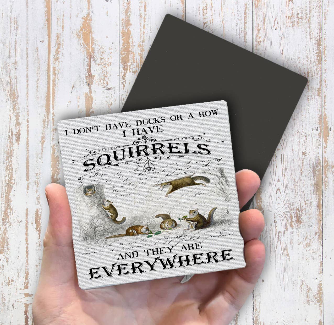 I Don't have ducks I have Squirrels Magnet Fridge - Sets of 2