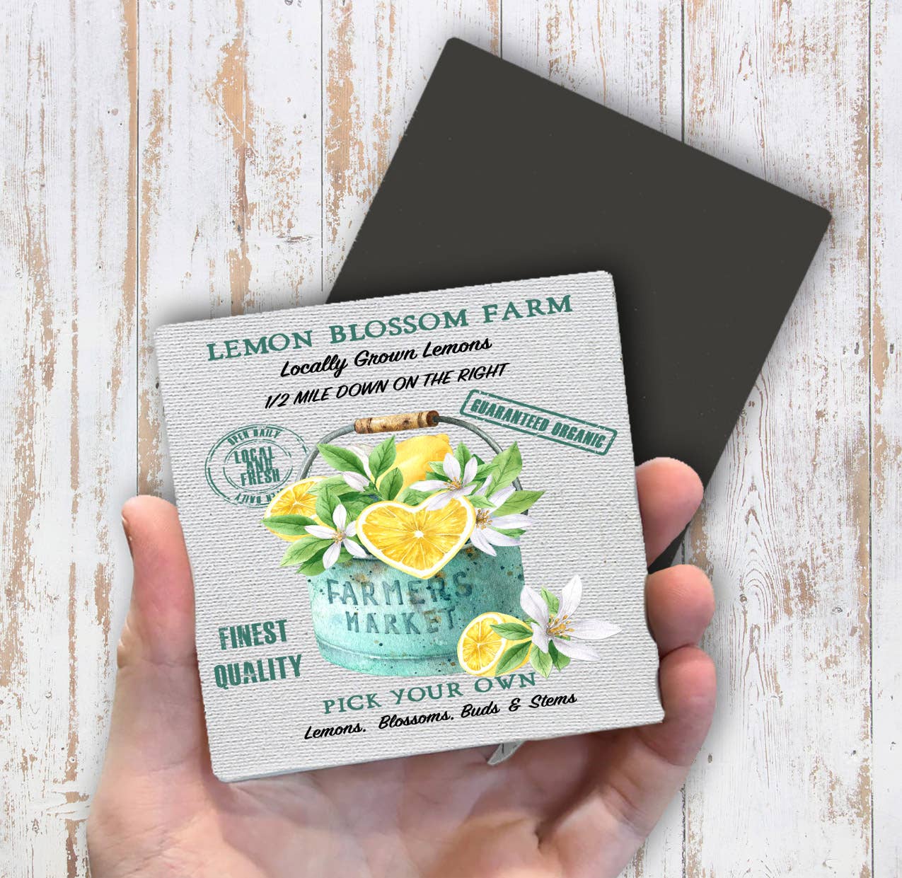 Farmers Market Lemon Blossoms Magnet Fridge - Sets of 2