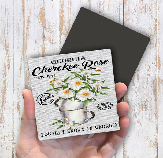 Georgia State Flower Cherokee Rose Magnet Fridge - Sets of 2