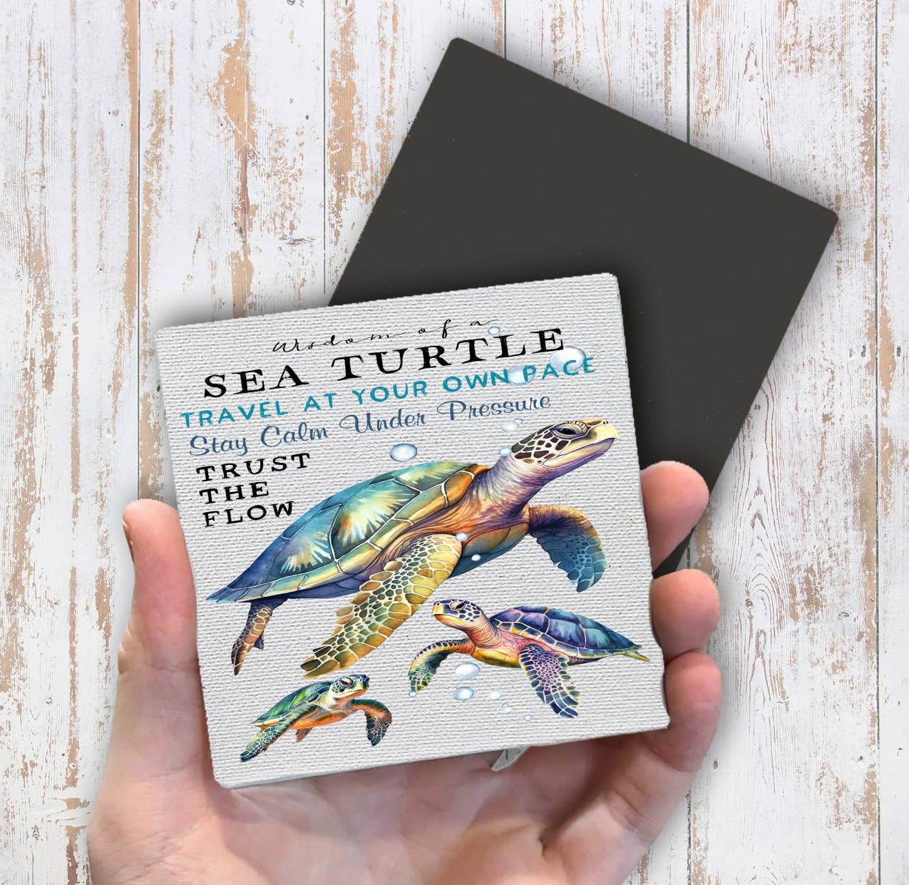 Coastal Sea Turtle Wisdom Ocean Magnet Fridge - Sets of 2