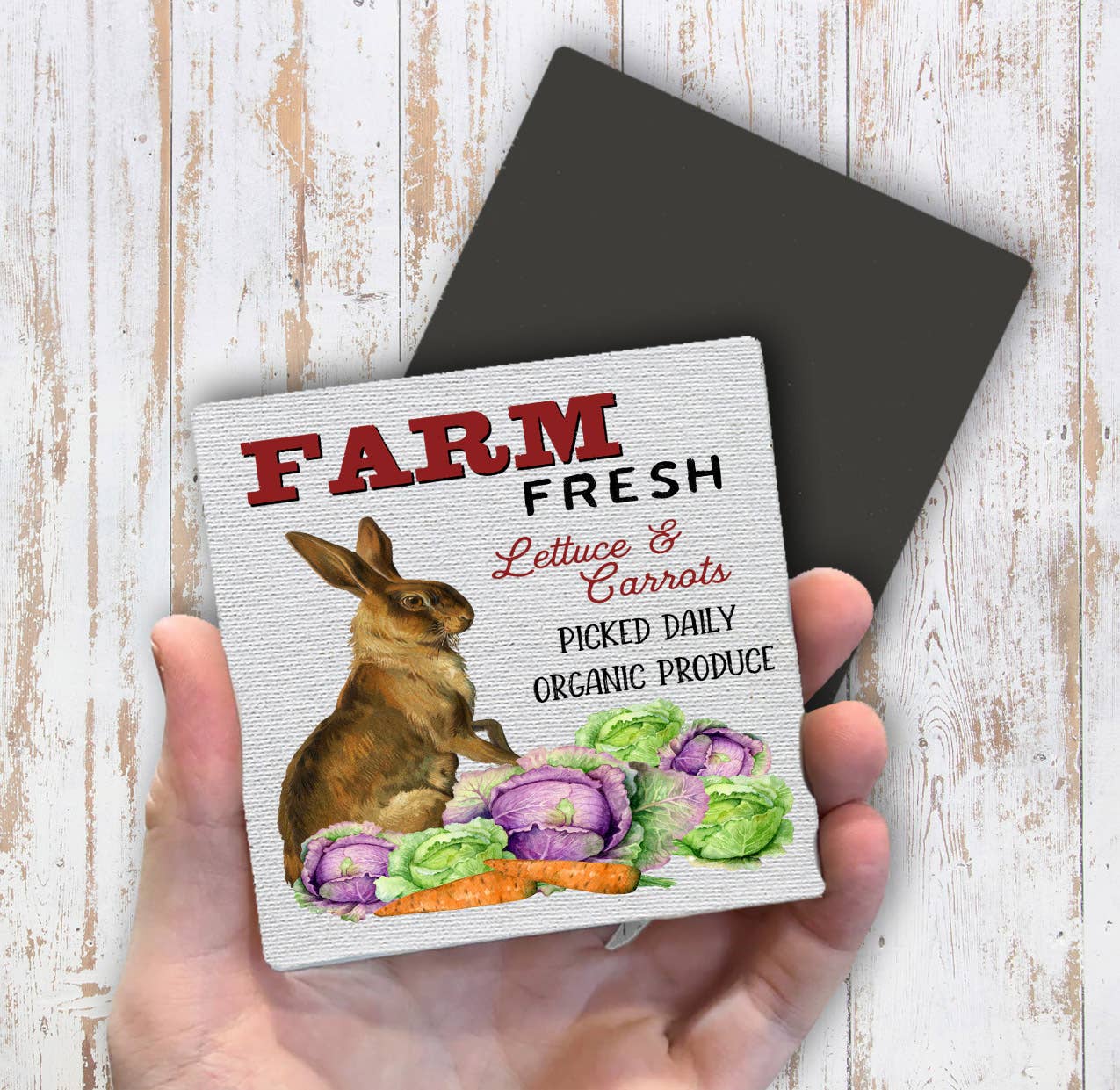 Easter Farm Lettuce Carrot Bunny Magnet Fridge - Sets of 2