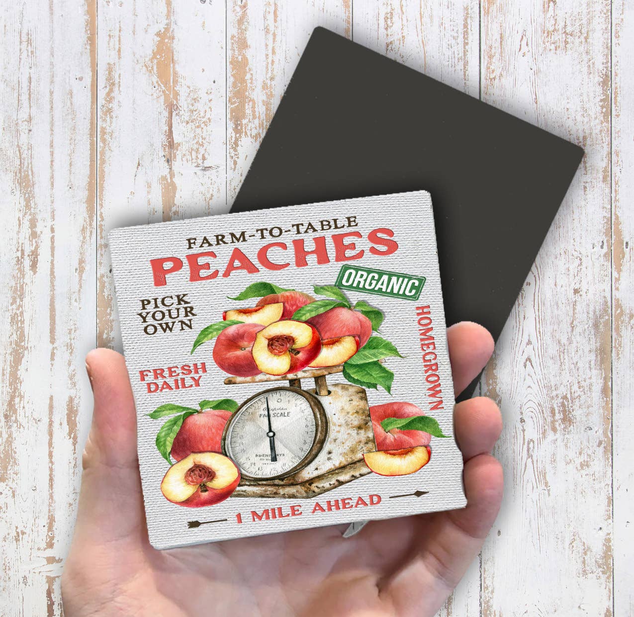 Modern Farmhouse Fresh Peaches Magnet Fridge - Sets of 2