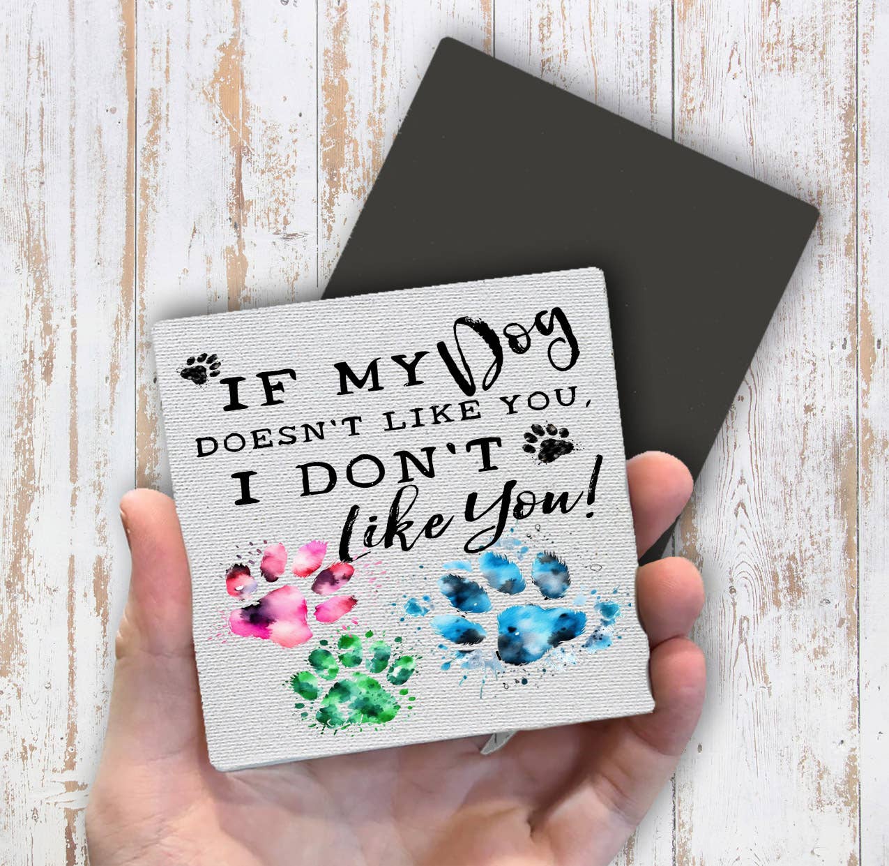 Dog Doesn't Like You I Don't Like You Magnet Fridge - Sets of 2