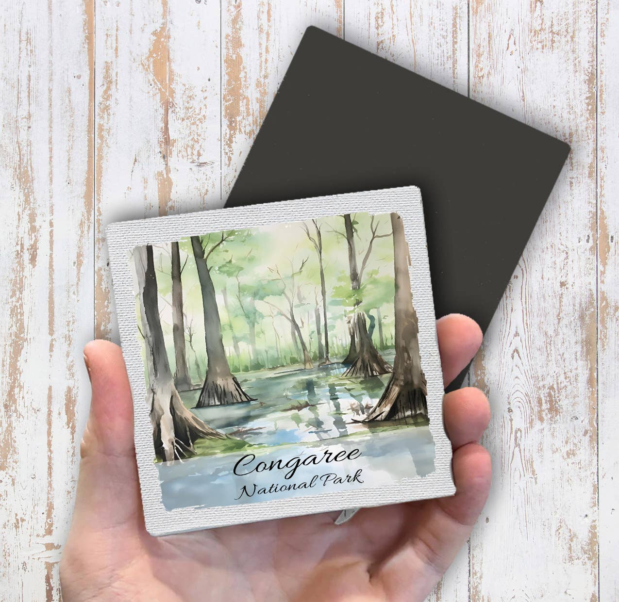 Congaree National Park South Carolina Magnet Fridge - Sets of 2